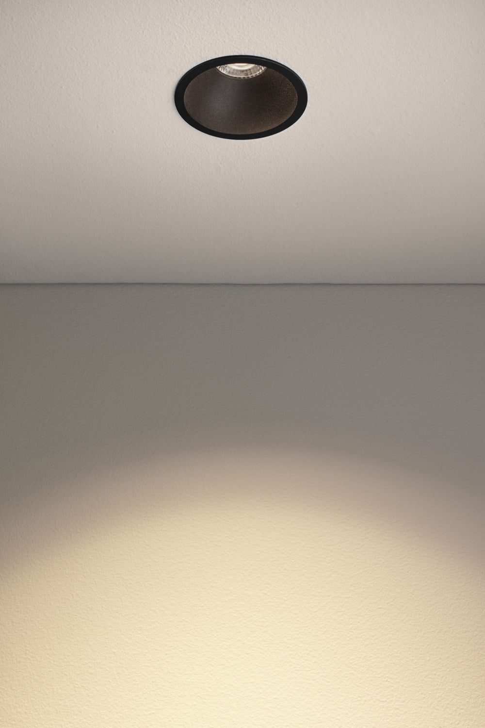 SP1 Spotlight
