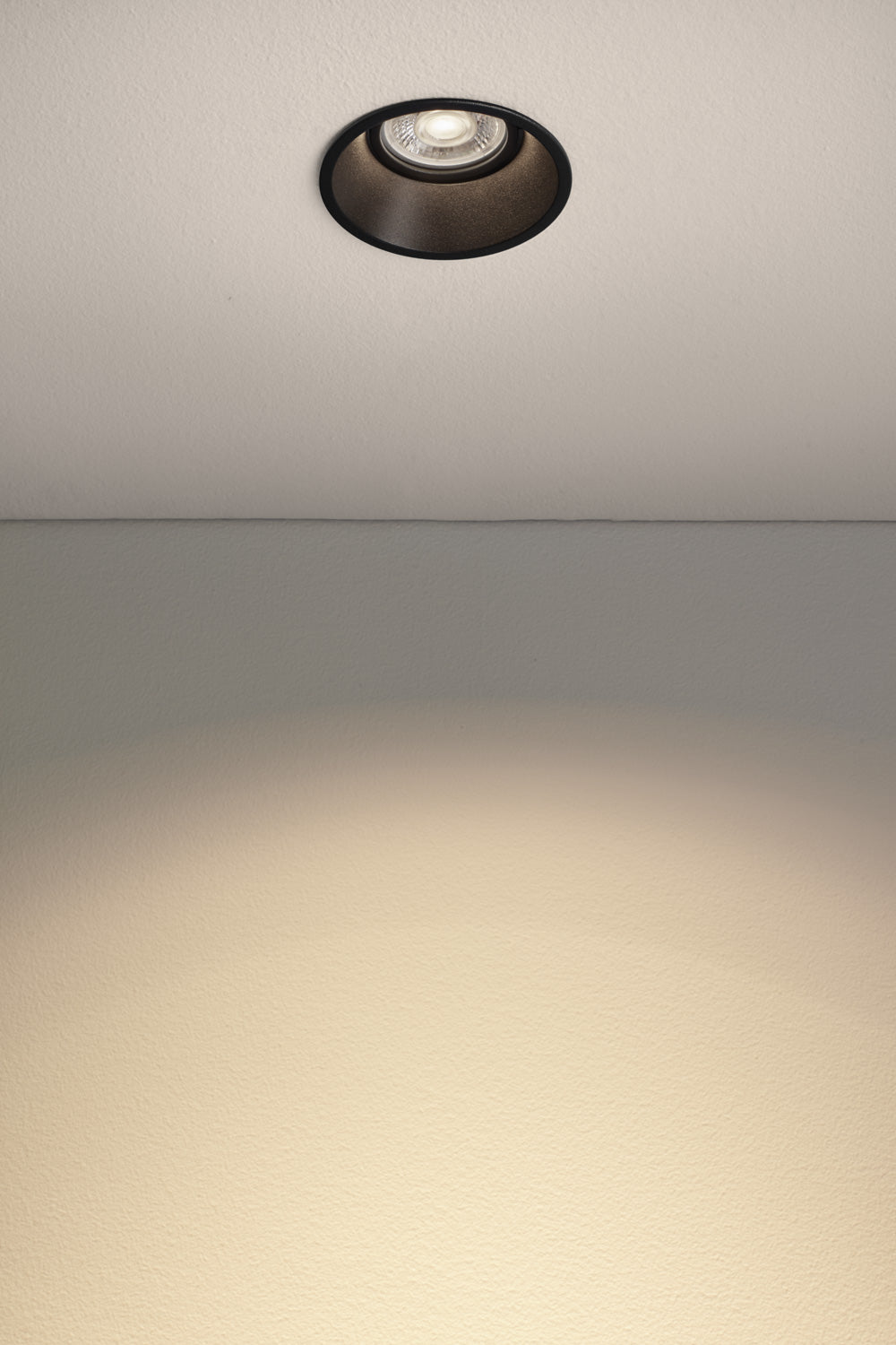 SP2 Spotlight