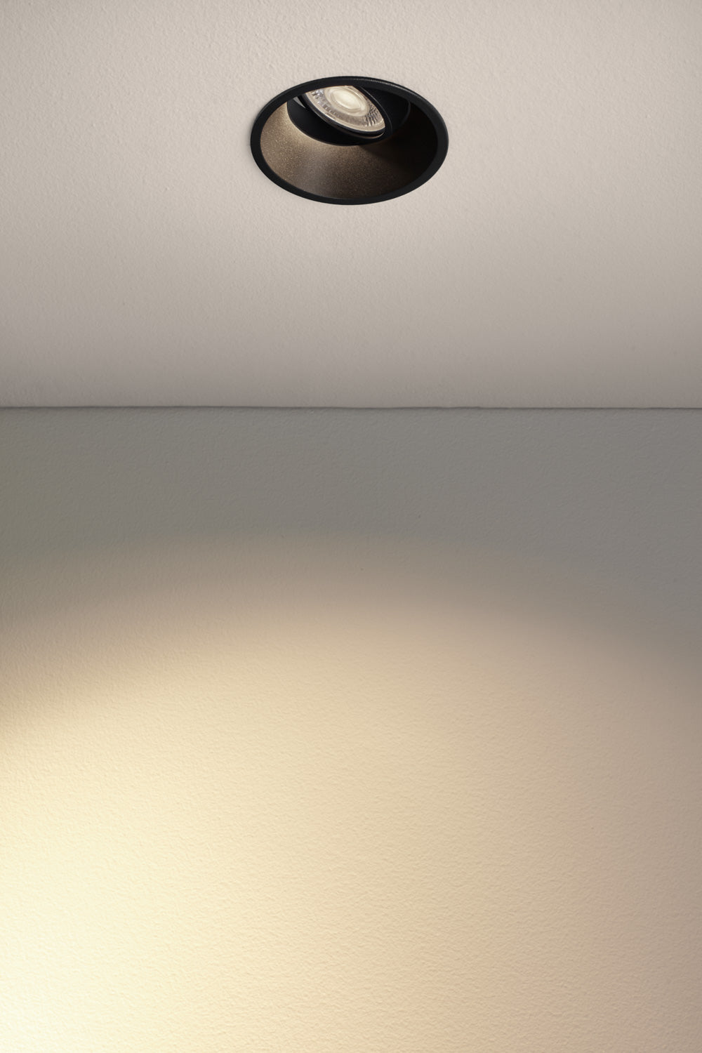 SP2 Spotlight